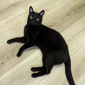 Meet your Posher, Rebecca